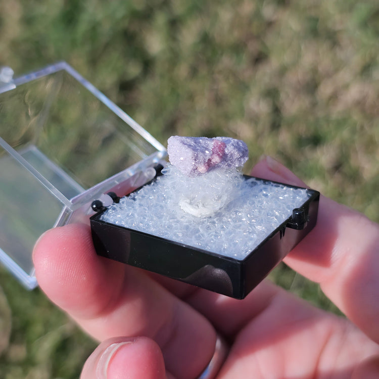 Rubellite & Lepidolite Crystals Minerals Thumbnails Natural Specimen Collectible