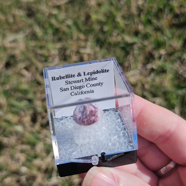 Rubellite & Lepidolite Crystals Minerals Thumbnails Natural Specimen Collectible