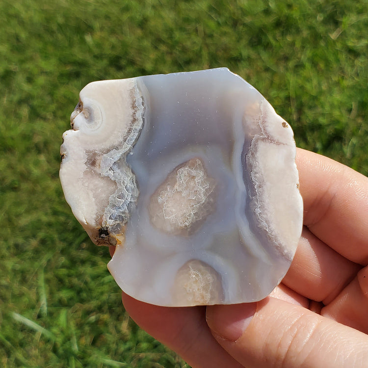 Flower Agate Slice Slab Minerals Stones BONUS INFO CARD Nature Reiki Collectible