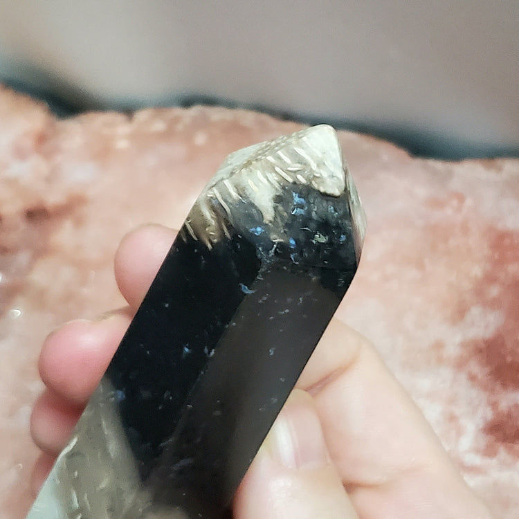 Fossilized Palm Root Generator Tower Chalcedony Indonesia Crystals C