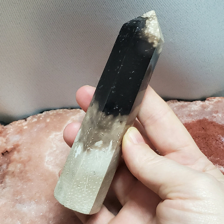 Fossilized Palm Root Generator Tower Chalcedony Indonesia Crystals C