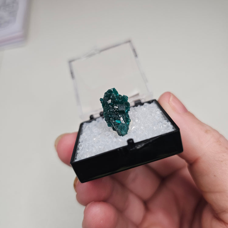 Dioptase Crystals Minerals Thumbnails Natural Specimen Collectible