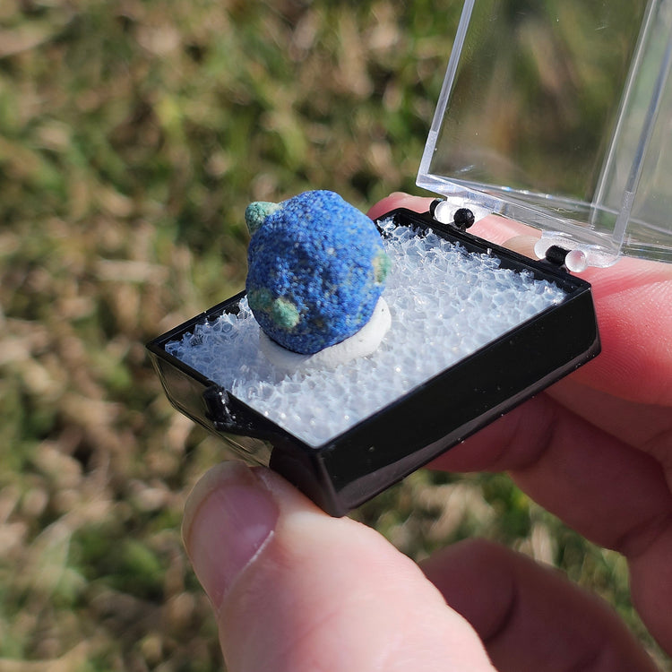 Azurite Blueberry Crystals Minerals Thumbnails Natural Specimen Collectible