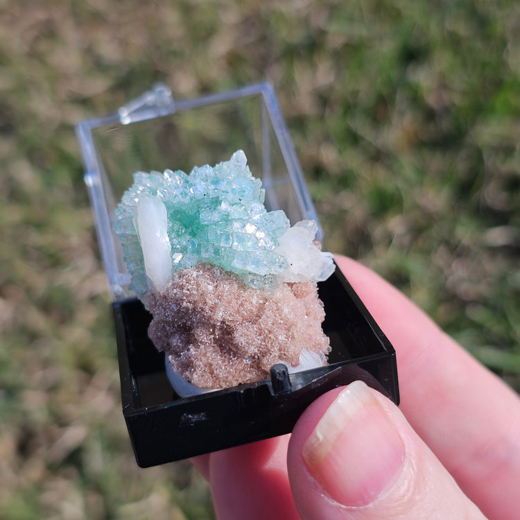 Fluorapophyllite Stilbite Crystals Minerals Thumbnails Natural Specimen Collectible