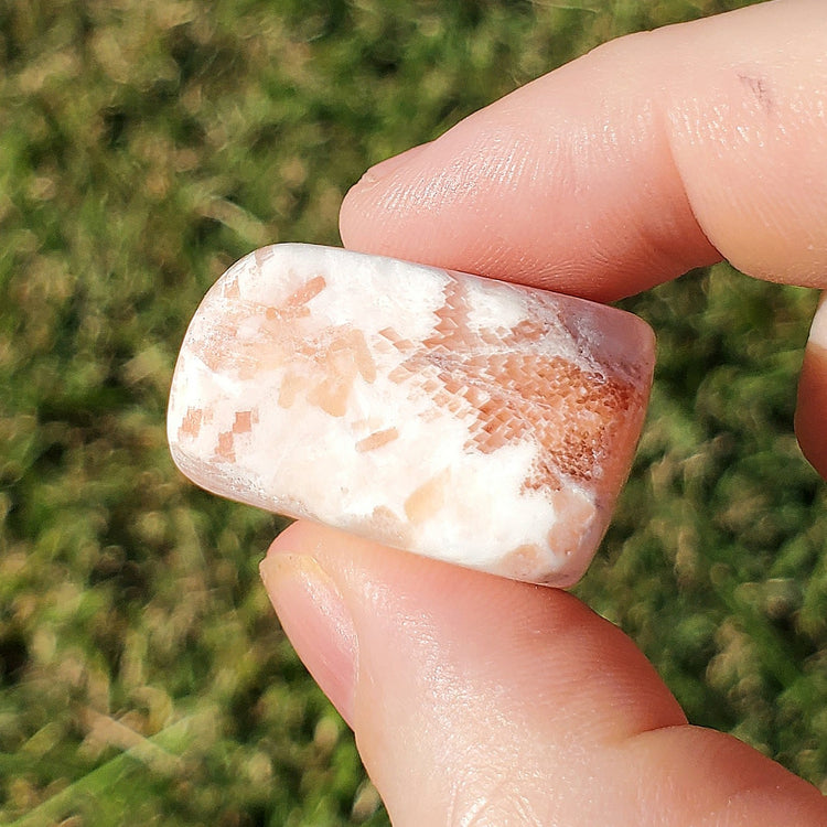 Scolecite Tumble Pocket Stone BONUS INFO CARD Crystals Minerals