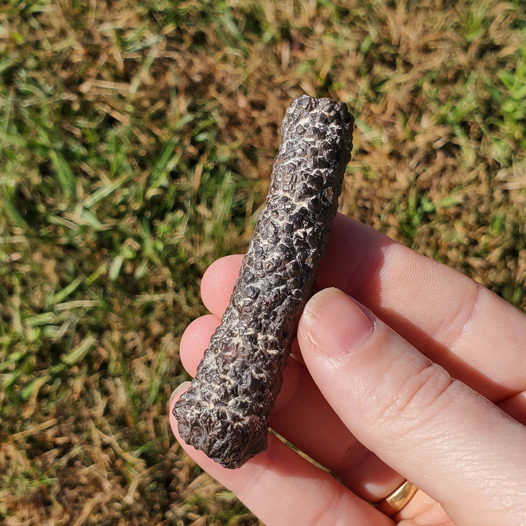 Prophecy Stone Unique Specimen Collectible Minerals Egypt