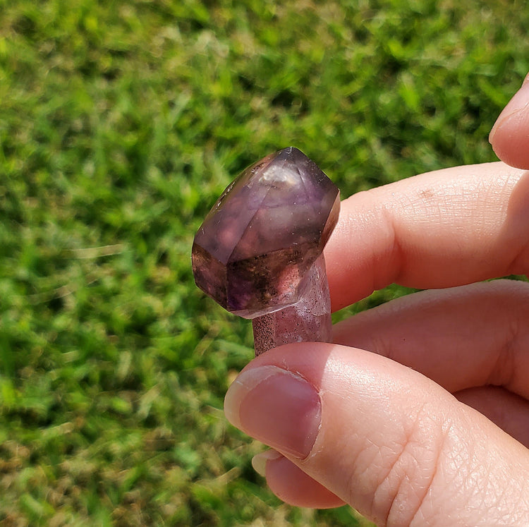 Amethyst Shangaan Scepter Crystals Minerals Stones Natural Specimen Collectible