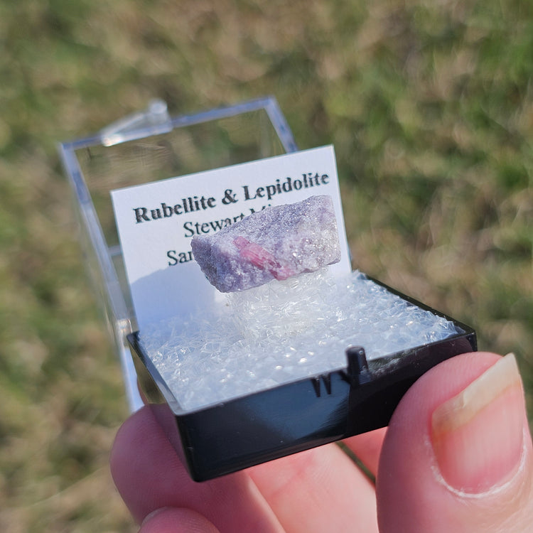 Rubellite & Lepidolite Crystals Minerals Thumbnails Natural Specimen Collectible