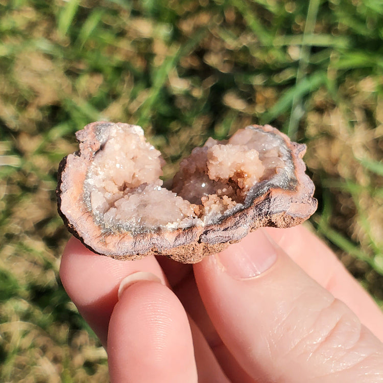 Pink Amethyst Geode Specimen BONUS INFO CARD Gifts