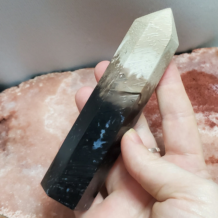 Fossilized Palm Root Tower Generator Indonesia Crystals Minerals Stones Natural Healing Metaphysical Nature Reiki Collectible A