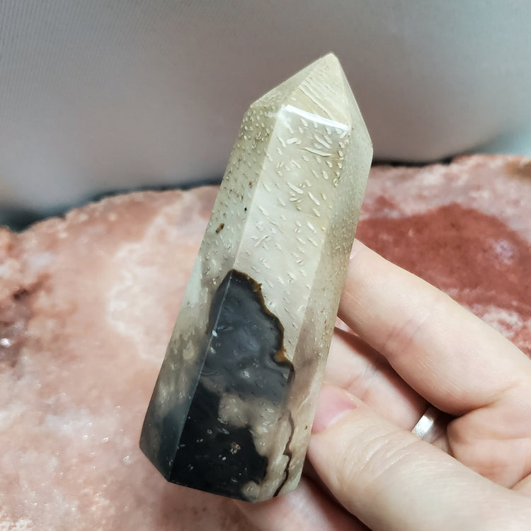 Fossilized Palm Root Generator Tower Indonesia Crystals Minerals Stones Natural F