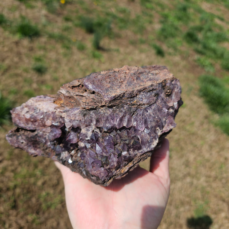 Amethyst Large Juicy Cluster Specimen Chihuahua Mexico Crystals Collectible