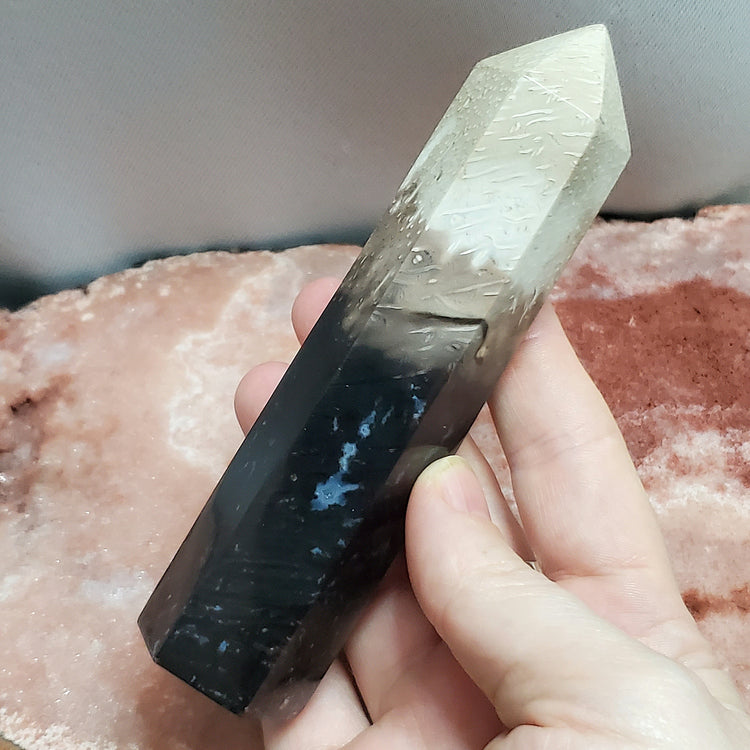 Fossilized Palm Root Tower Generator Indonesia Crystals Minerals Stones Natural Healing Metaphysical Nature Reiki Collectible A