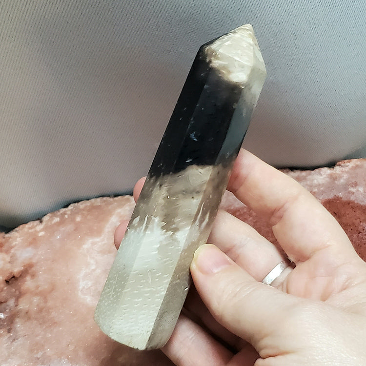 Fossilized Palm Root Generator Tower Chalcedony Indonesia Crystals C