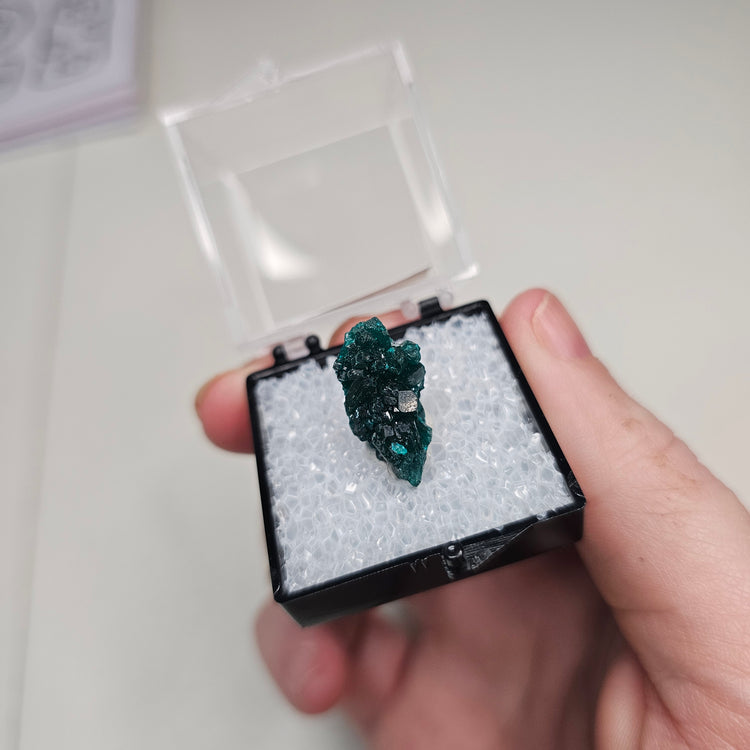 Dioptase Crystals Minerals Thumbnails Natural Specimen Collectible
