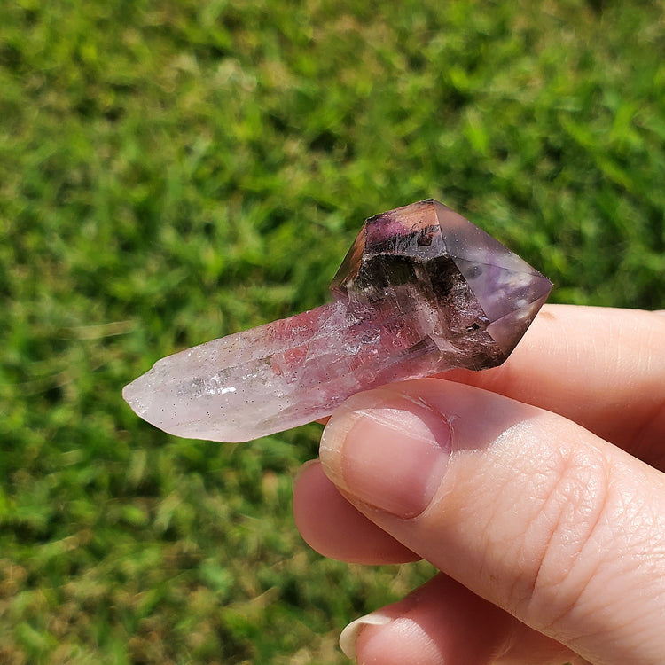 Amethyst Shangaan Scepter Crystals Minerals Stones Natural Specimen Collectible