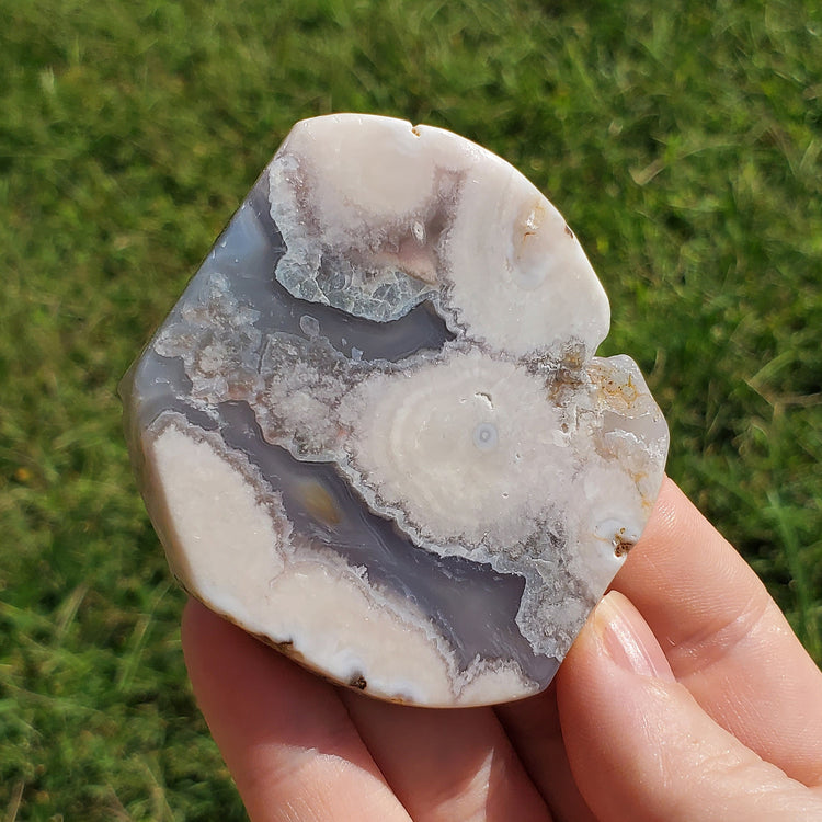 Flower Agate Slice Slab Minerals Stones BONUS INFO CARD Nature Reiki Collectible