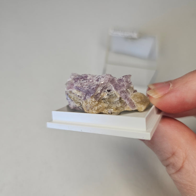 Hexagonite Crystals Minerals Thumbnails Natural Specimen Collectible