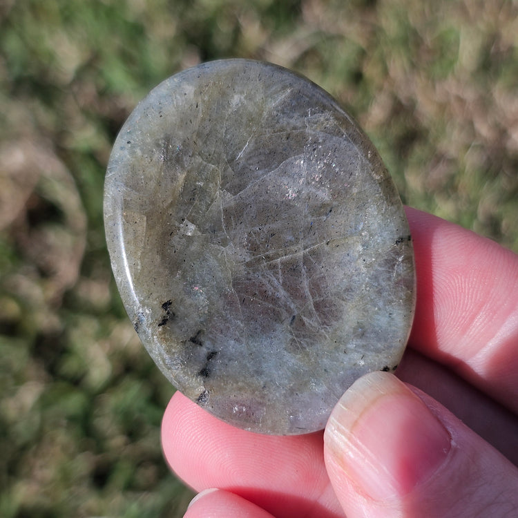 Labradorite Worry Stone Pocket Crystals Mineral BONUS Info Card Gifts