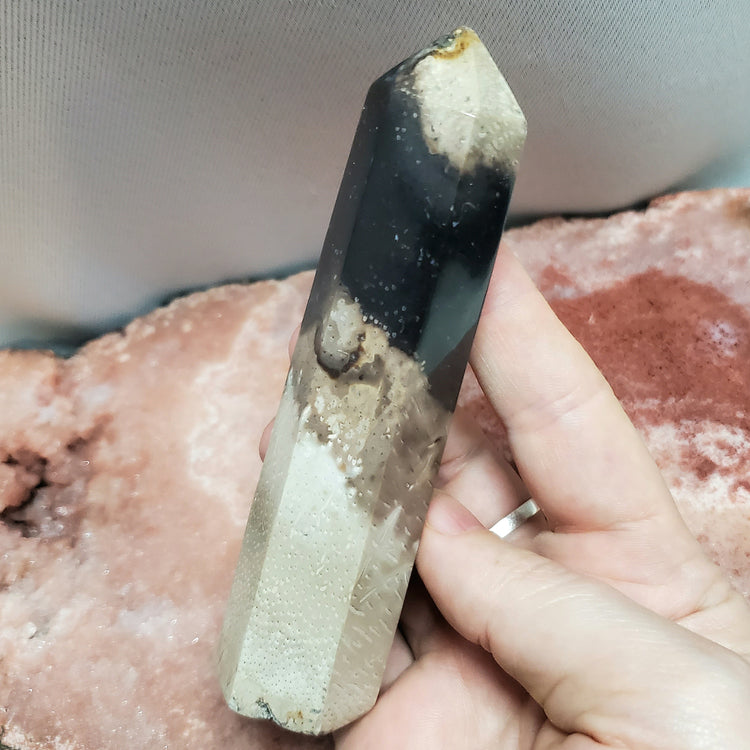 Fossilized Palm Root Generator Tower Indonesia Crystals Minerals Stones E