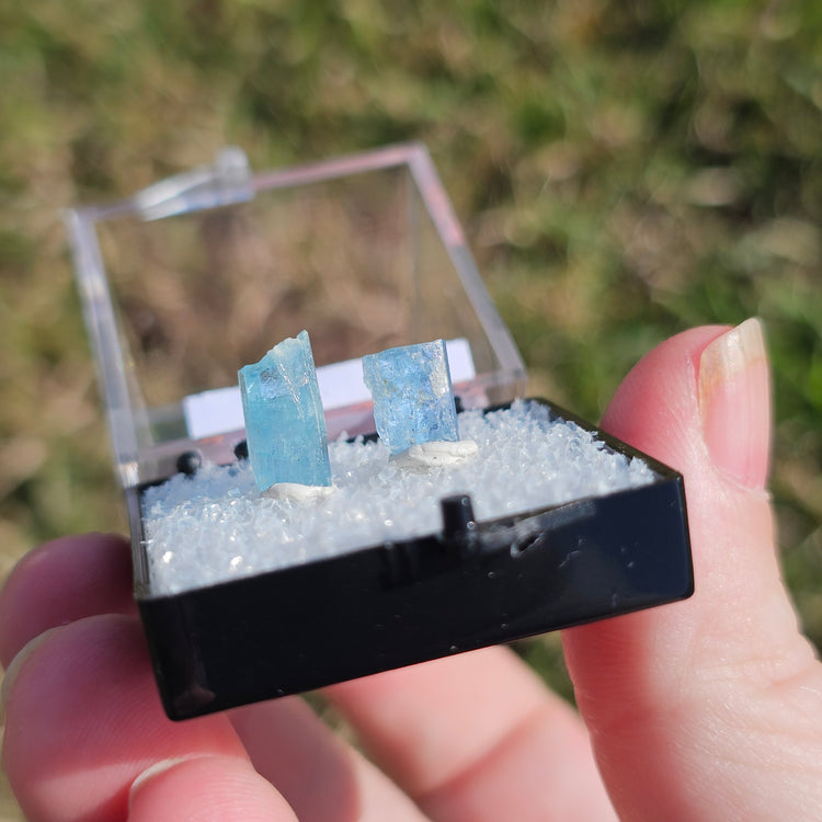 Aquamarine Crystals Minerals Thumbnails Natural Specimen Collectible