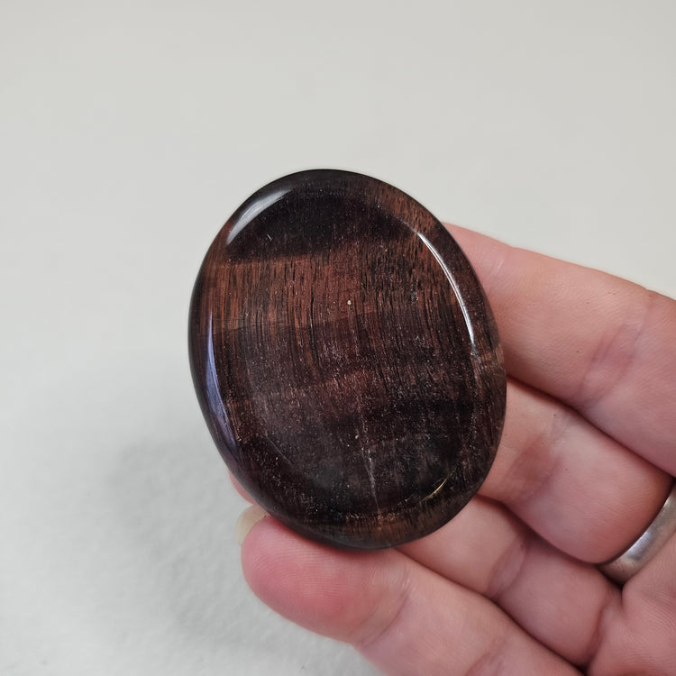 Red Tiger's Eye Worry Pocket Stone Crystals BONUS INFO CARD Gifts