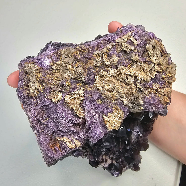 Amethyst Large Juicy Cluster Specimen Chihuahua Mexico Crystals Collectible B