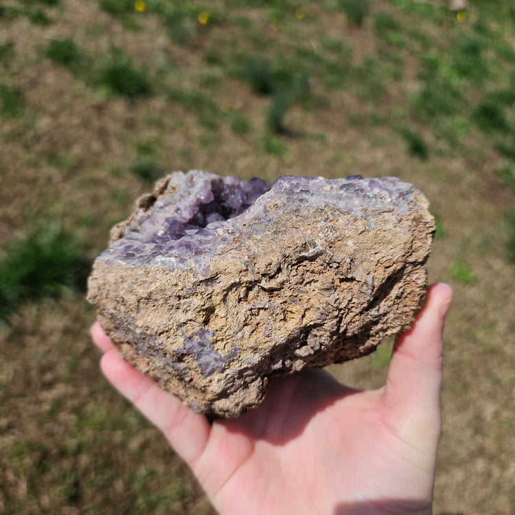 Amethyst Large Juicy Cluster Specimen Chihuahua Mexico Crystals Collectible