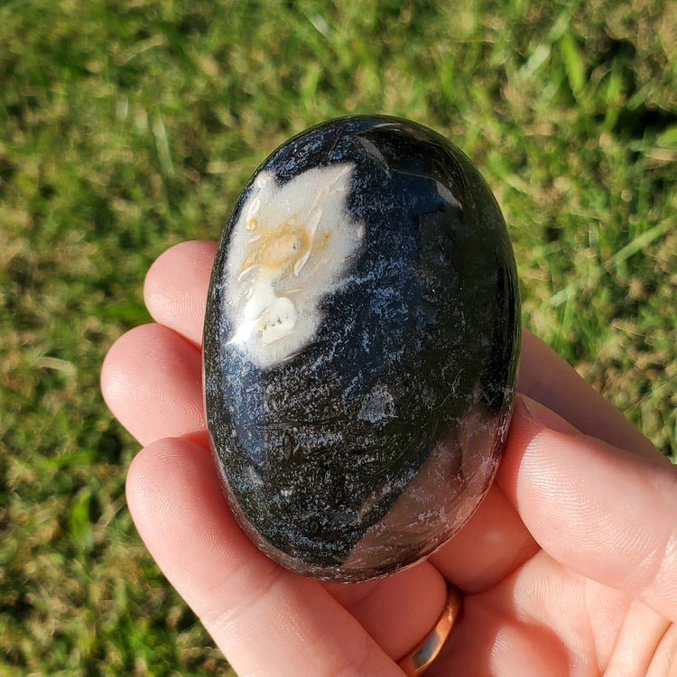 Fossilized Palm Root Palm Stone Indonesia Agate Collectible Quality Gifts D