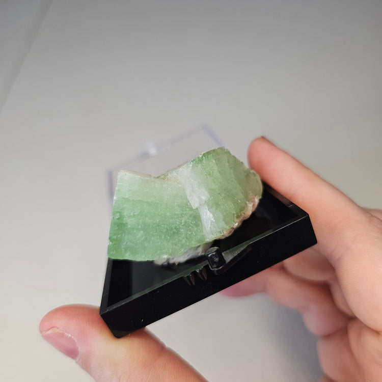 Green Apophyllite Crystals Minerals Thumbnails Natural Specimen Collectible