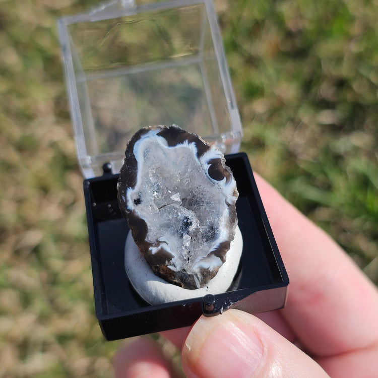 Oco Geode Crystals Minerals Thumbnails Natural Specimen Collectible