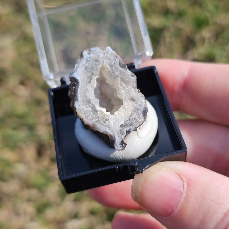 Oco Geode Crystals Minerals Thumbnails Natural Specimen Collectible