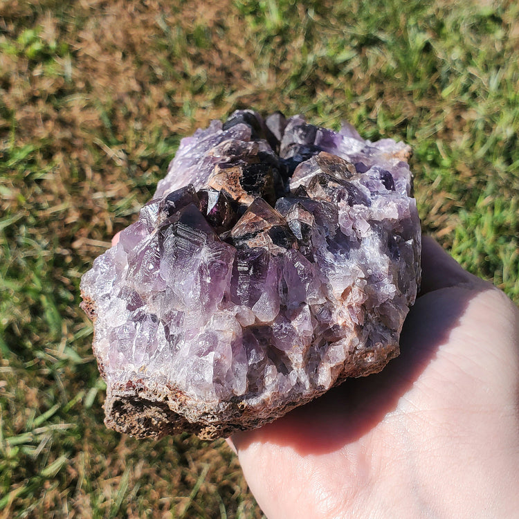 Amethyst Large Juicy Cluster Specimen Chihuahua Mexico Crystals Collectible