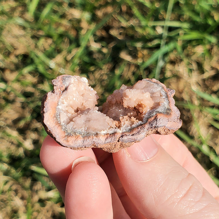 Pink Amethyst Geode Specimen BONUS INFO CARD Gifts
