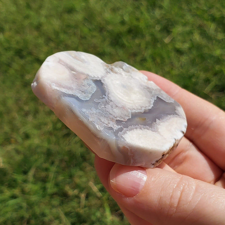 Flower Agate Slice Slab Minerals Stones BONUS INFO CARD Nature Reiki Collectible