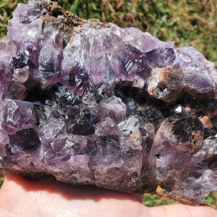 Amethyst Large Juicy Cluster Specimen Chihuahua Mexico Crystals Collectible