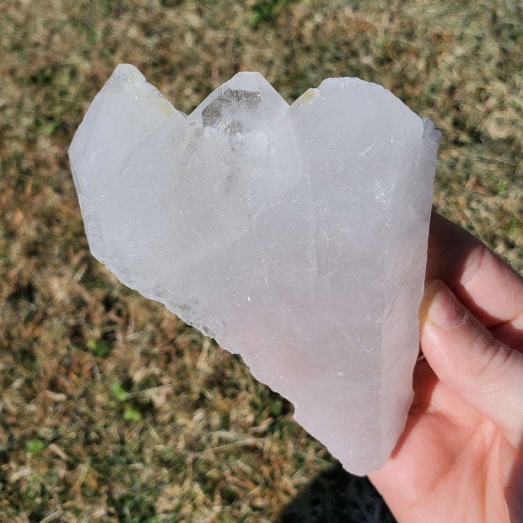 Brazilian Clear Quartz BONUS INFO CARD Crystals Minerals Specimen Collectible