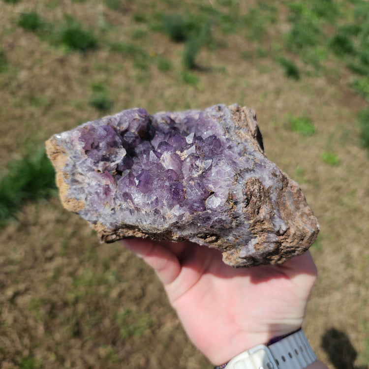 Amethyst Large Juicy Cluster Specimen Chihuahua Mexico Crystals Collectible