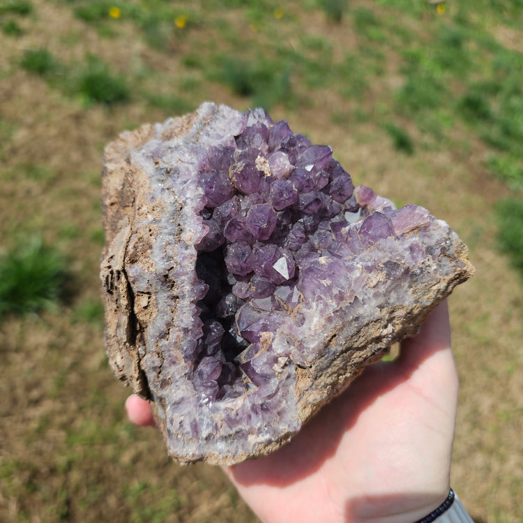 Amethyst Large Juicy Cluster Specimen Chihuahua Mexico Crystals Collectible