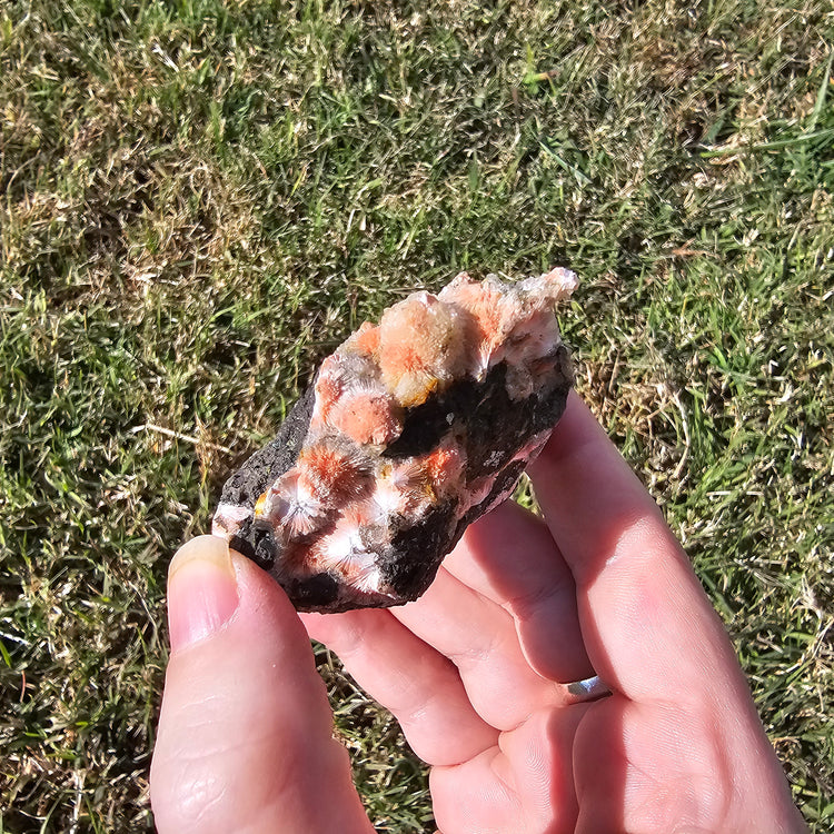 Thomsonite Specimen India Crystals Minerals Collectible Gifts