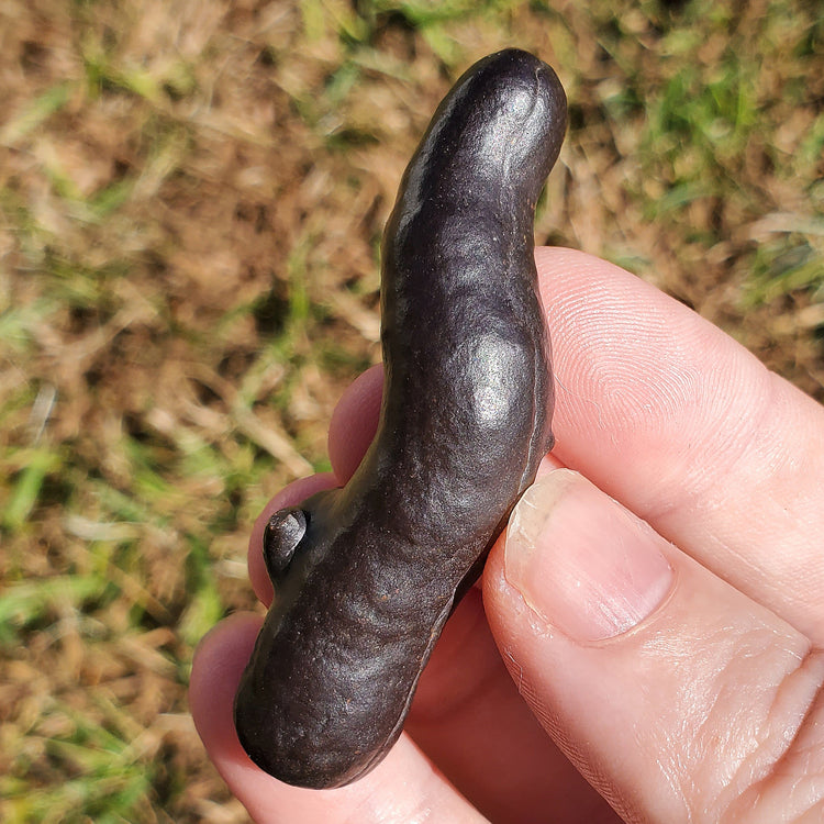 Prophecy Stone Unique Specimen Collectible Minerals Egypt