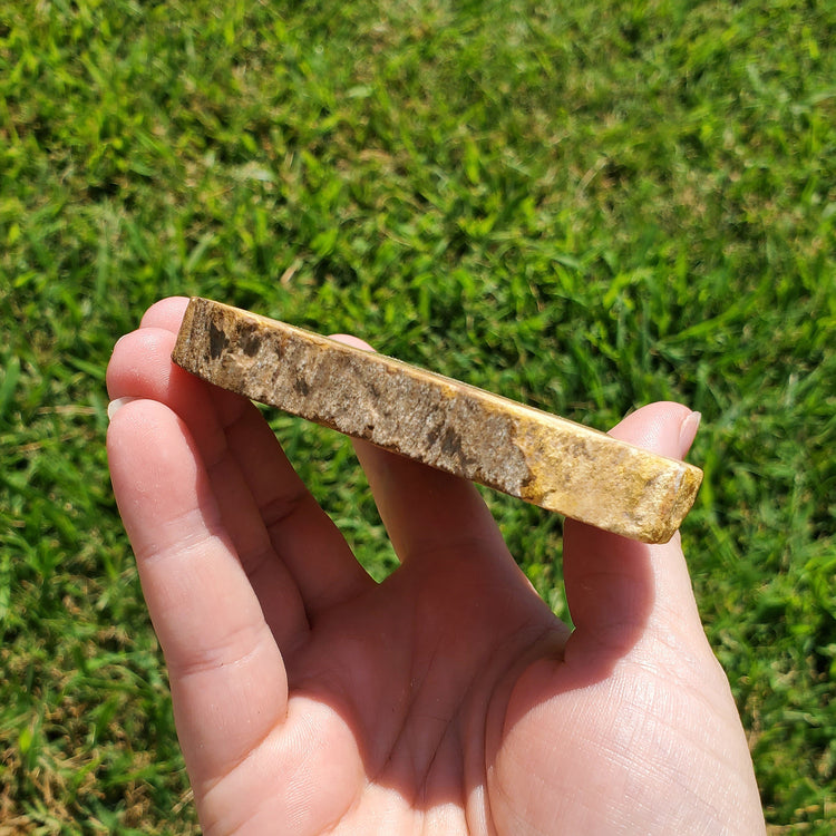 Petrified Wood Slab Minerals Fossilized BONUS INFO CARD Collectible Indonesia