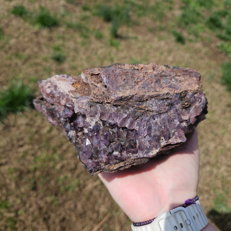 Amethyst Large Juicy Cluster Specimen Chihuahua Mexico Crystals Collectible