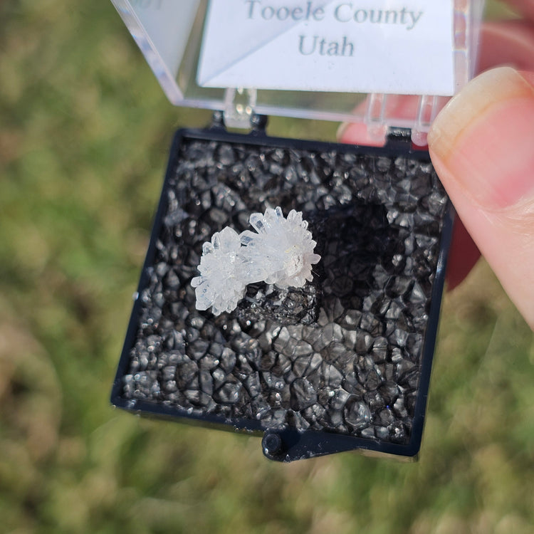 Quartz Flower Crystals Minerals Thumbnails Natural Specimen Collectible