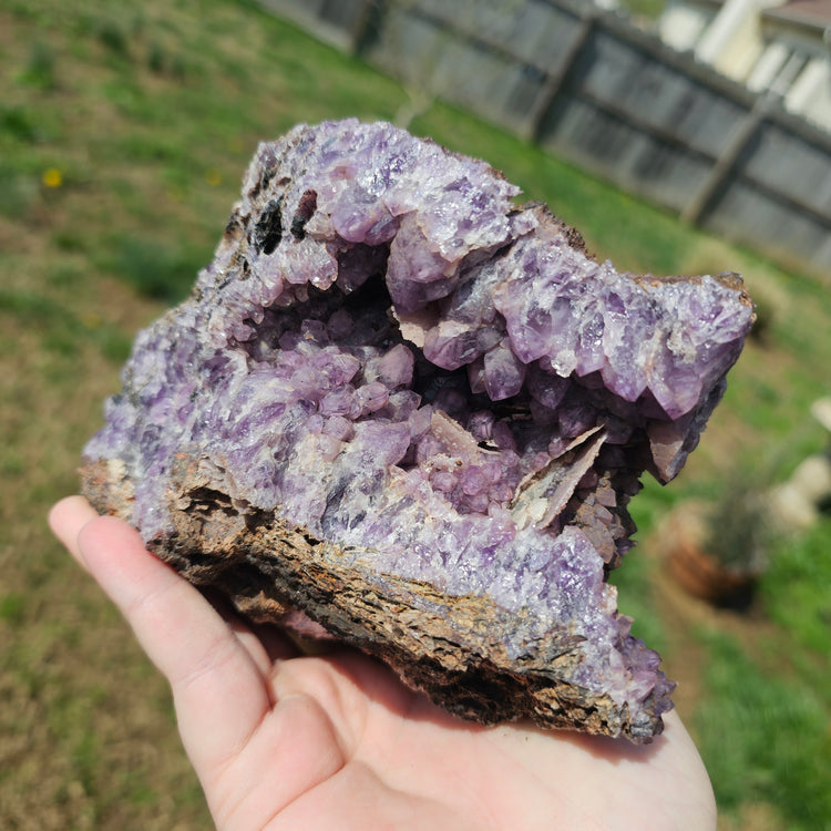 Amethyst Large Juicy Cluster Specimen Chihuahua Mexico Crystals Collectible