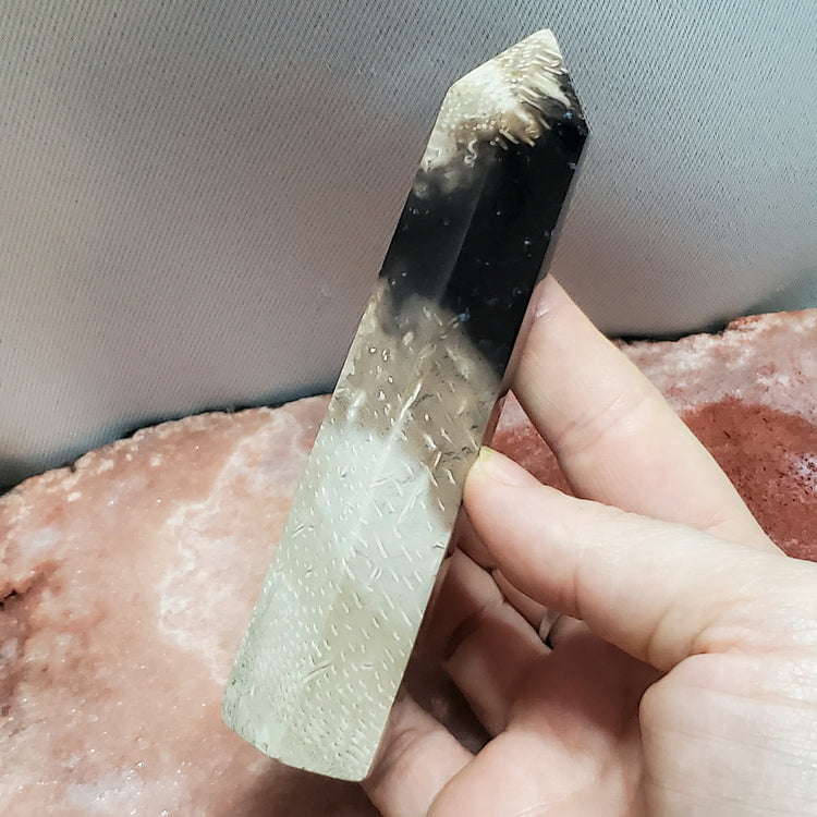 Fossilized Palm Root Generator Tower Chalcedony Indonesia Crystals C