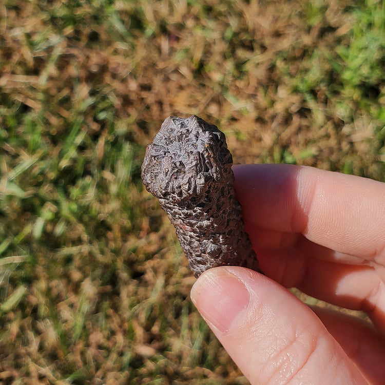 Prophecy Stone Unique Specimen Collectible Minerals Egypt