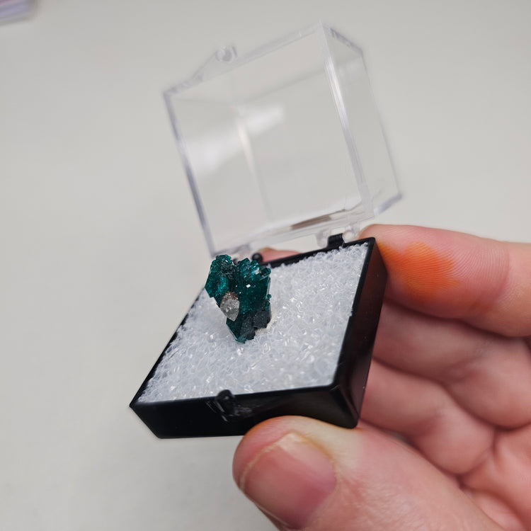 Dioptase Crystals Minerals Thumbnails Natural Specimen Collectible