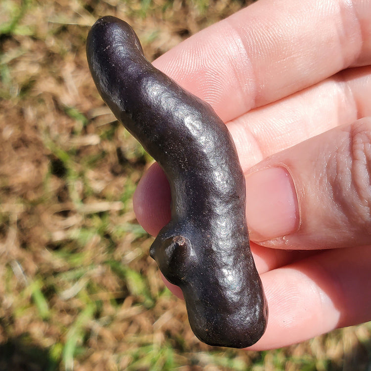 Prophecy Stone Unique Specimen Collectible Minerals Egypt