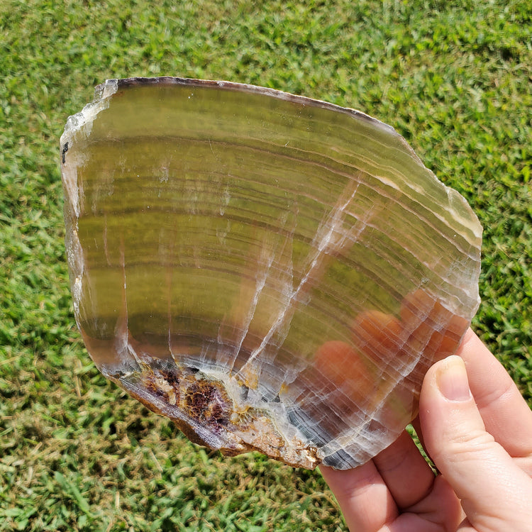 Rainbow Fluorite Slab Slice Minerals Stones Natural BONUS Info Card Nature Reiki Collectible